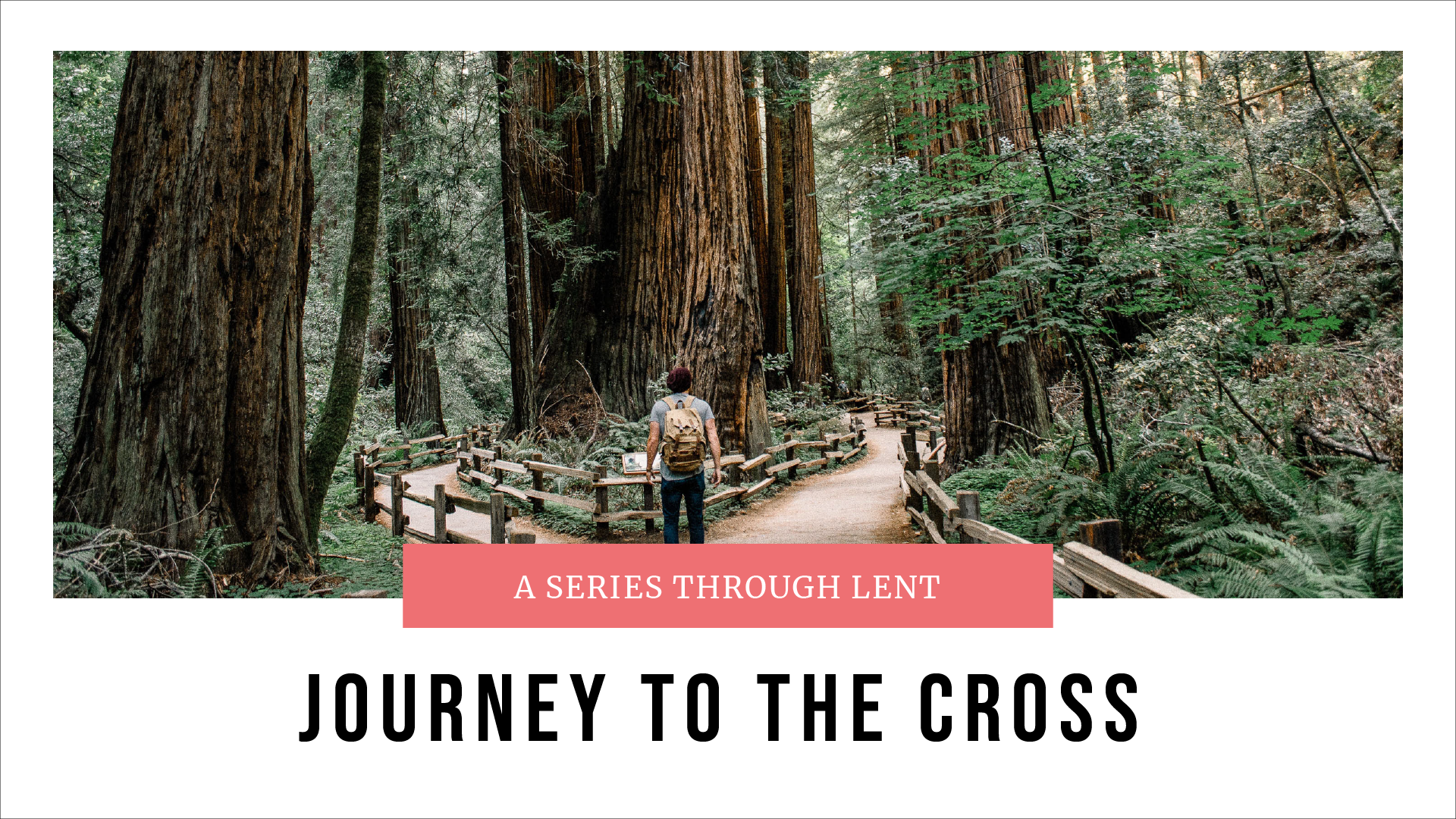 Journey to the Cross – Pt. 4 – Paul Maconochie